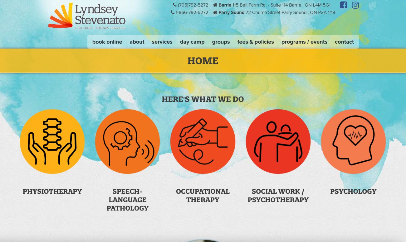 Lyndsey Stevenato Children's Therapy Services Website - Before New Website